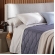 Jogo de Cama Queen Buddemeyer Basic Percalle 180 Fios - Bege 019
