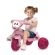 Triciclo Bandeirante Zootico Passeio e Pedal Joaninha - Rosa