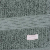 Toalha de Rosto Buddemeyer Fio Penteado Canelado - Verde 1874