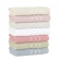 Toalha de Rosto Buddemeyer Vanilla Extra Soft 100% Algodão - Rosa 1371