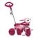 Triciclo Bandeirante Zootico Passeio e Pedal Joaninha - Rosa