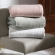 Cobertor Solteiro Kacyumara Blanket 300 Toque de Seda - Rosê Parisi