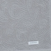 Toalha de Rosto Buddemeyer Aragon Extra Soft 100% Algodão - Cinza 1590